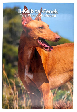 Coincard 2 Euro Sondermünze Malta 2026 "Der Pharaonenhund"