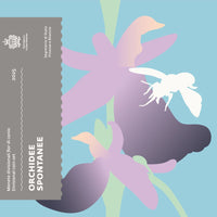 Original KMS San Marino 2025 8,88€ Stempelglanz